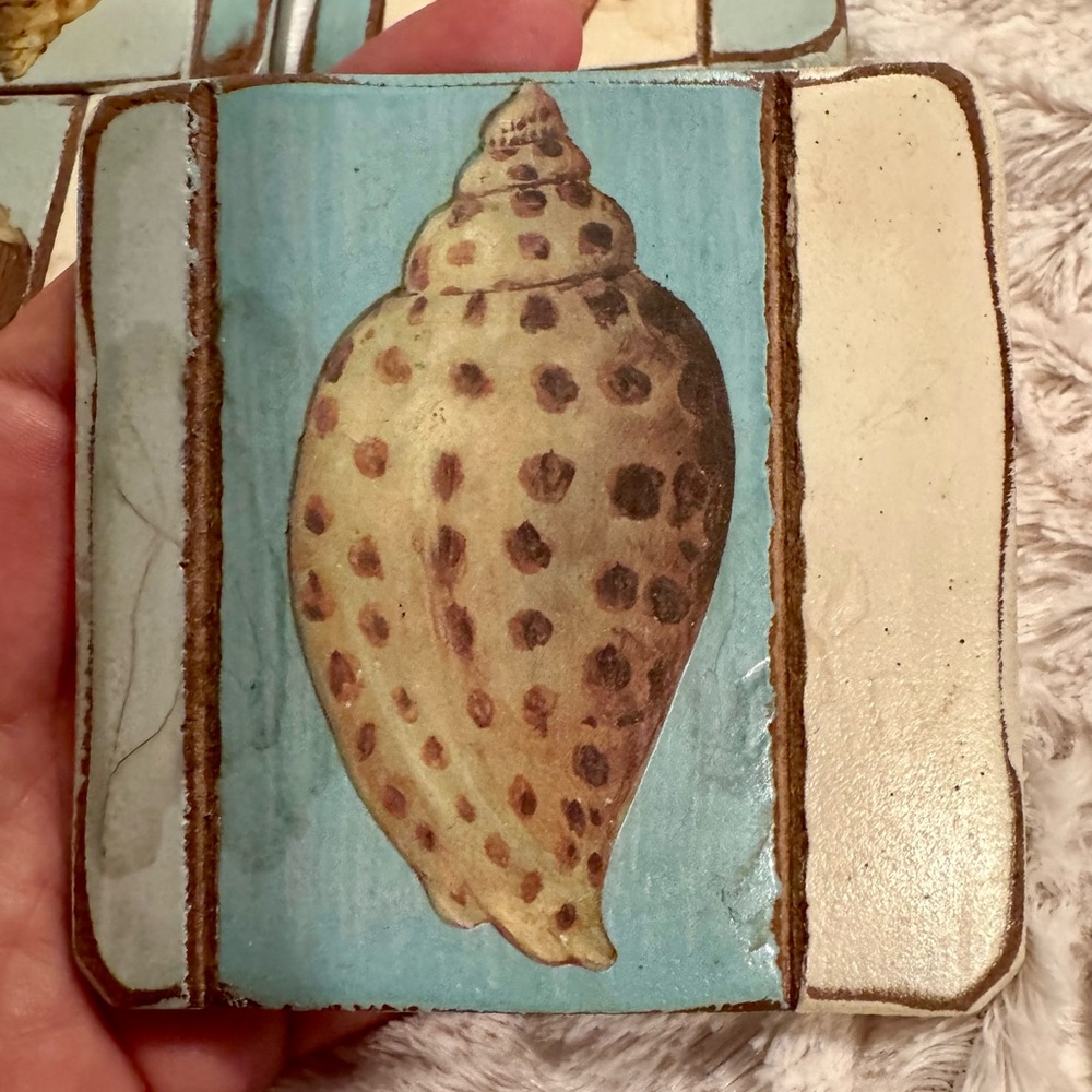 Seashell Design Coasters Set - Picture 4 of 12